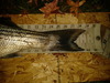 20131129 172523 thumb