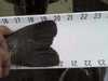 Resize 0304141517 00 01 thumb