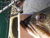 Clearlake 3 14 023 thumb