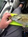 Folsomsmallie3 thumb