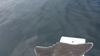 20140705 132654 thumb