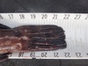 Dsc01348 2000x1500 thumb