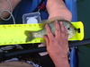 Rollins rich n patrick 002 thumb