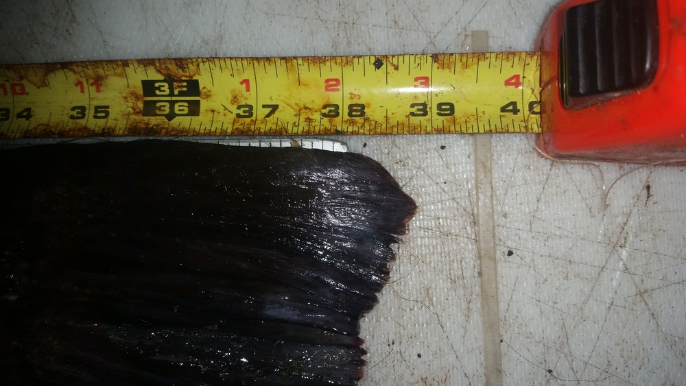 20140922 193440