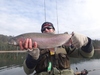 Dsc02894  2000x1500  thumb