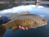 Dsc03102 2000x1500 thumb
