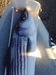 Fullsizerender 10 thumb