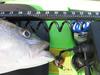 Striper 4 28 07.1 thumb