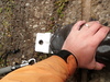 Cat 32 head thumb