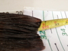 Ling tail 31.75 thumb