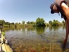Striperrelease thumb