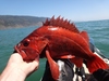 Dsc04822 2000x1500 thumb