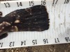 Image3 thumb