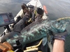 Dsc05430  2000x1500  thumb