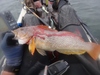 Dsc05803 2000x1500 thumb