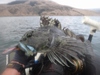 Dsc05804 2000x1500 thumb