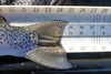 24.75bowaotytail thumb