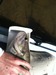 013 thumb