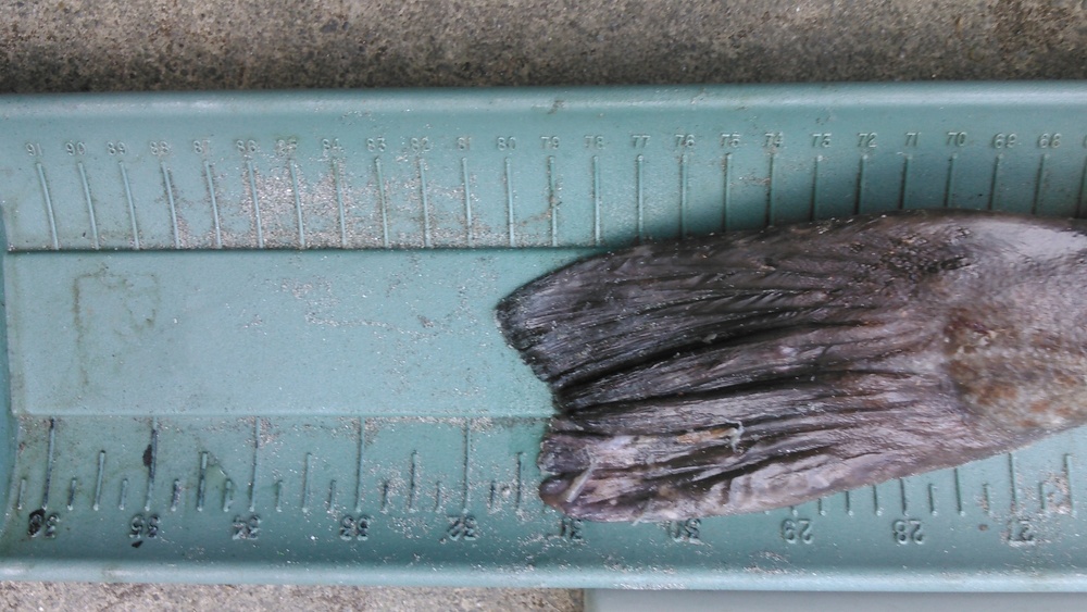 Kimg0050