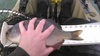 Kimg0139 thumb