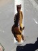Greenling4 thumb