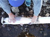 Dscf3472 thumb