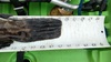 Cabby tail resize thumb