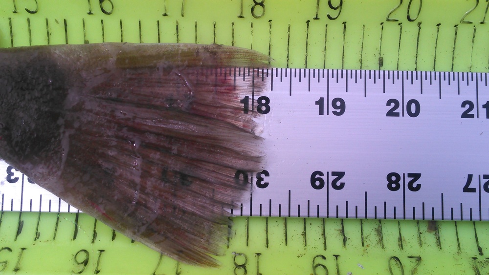 Kimg0535
