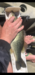 E359c36c 3f15 4a13 92d2 ca77cb7b743b thumb