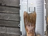 946e85d8 14a8 495f abe6 2223005e6bad thumb