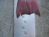5 23 09 095 thumb