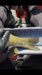 F6e254f9 b346 4000 a99d a711c024c541 thumb