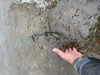 A5ff69d8 9fbc 47f7 bbdf 8cf261fb125b thumb