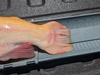 1000003143 thumb