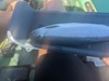 1000003367 thumb