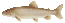 Laketrout thumb